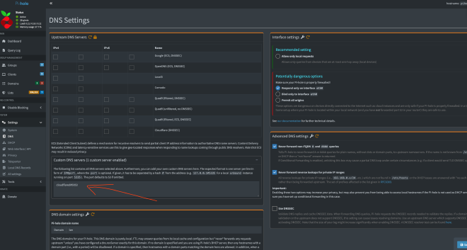 PiHole DNS Settings